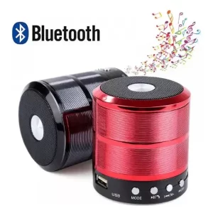 Parlante Bluetooth Portatil mini speaker WS 887 – BLUETOOTH 